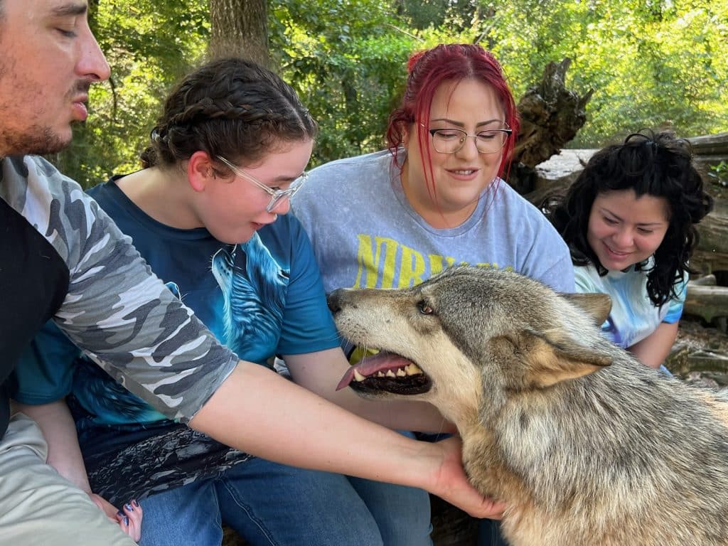 Wish kid Annelise meeting a wolf