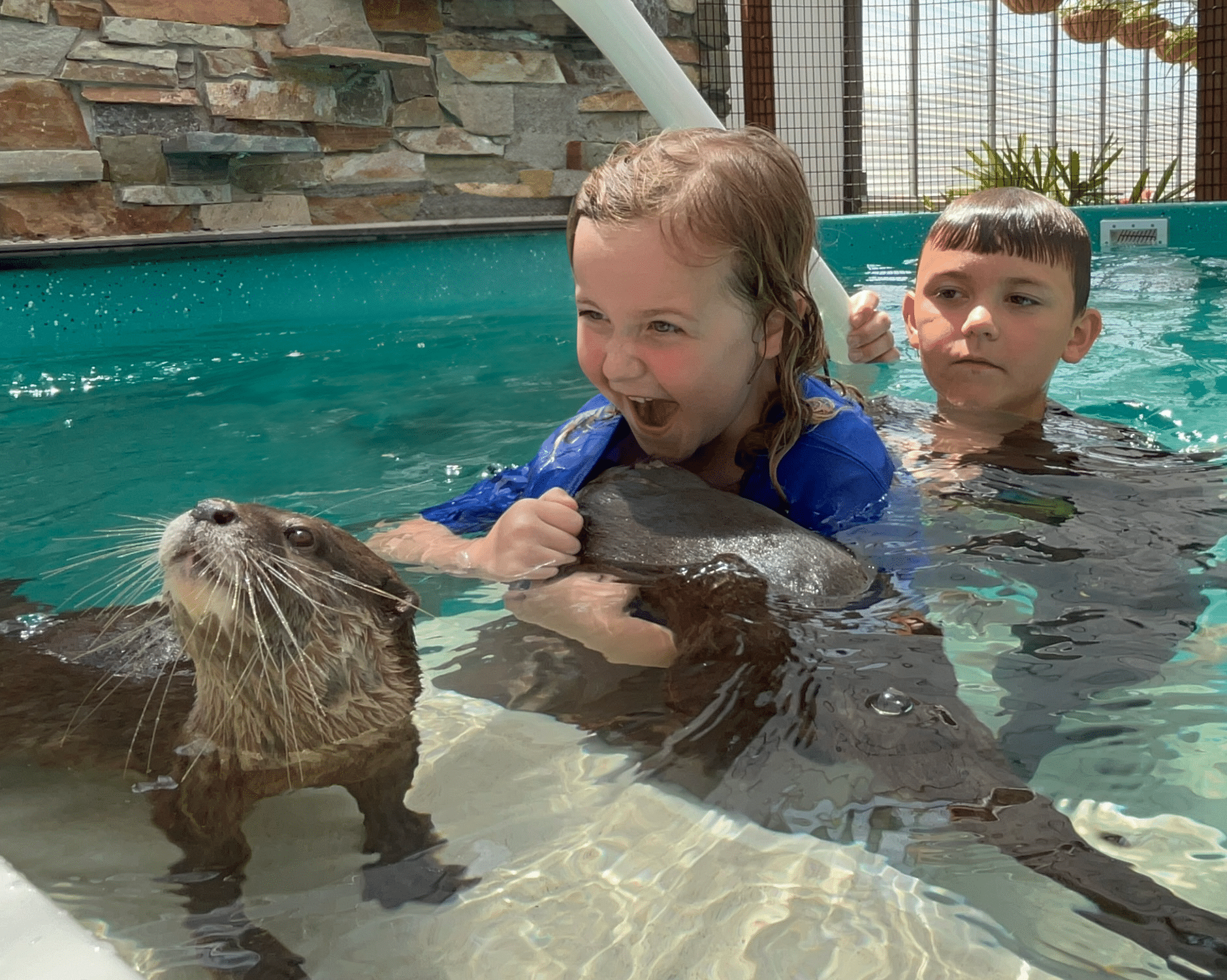 Wish kid Whitley swimming with otters