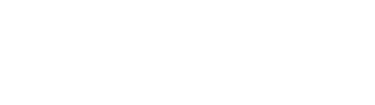 make-a-wish logo