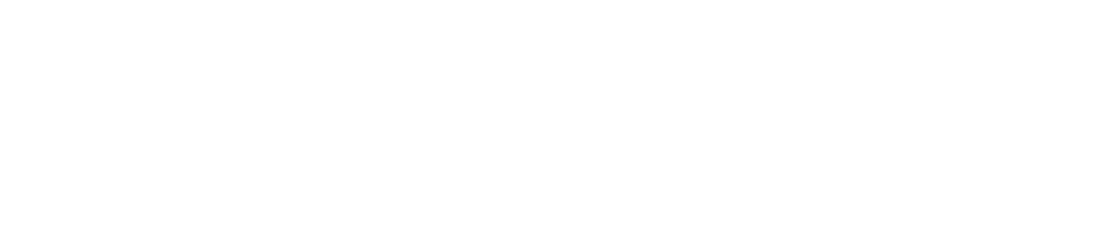 wishmakers ball logo white