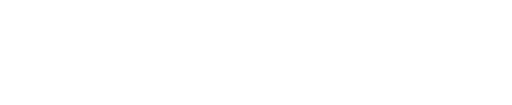 wishmakers ball logo white