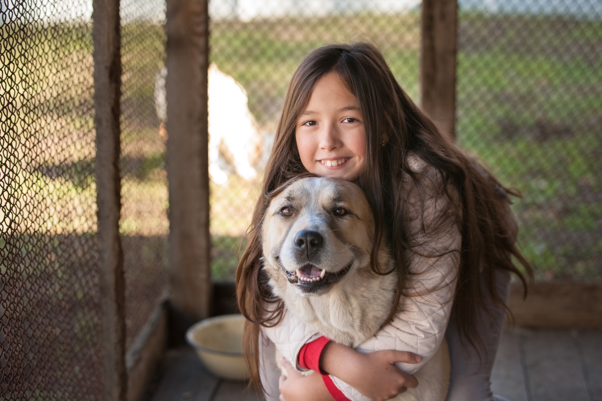 girl hugging dog at shelter